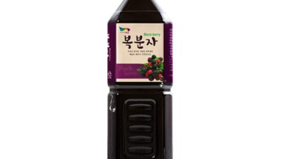놓치면 후회! 제주 복분자주 솔직 후기 & 꿀팁 대방출 🍇