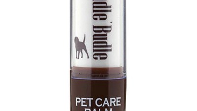 🐶 촉촉 꿀피부! 애견보습크림 솔직 후기 & 꿀팁🍯 (할인정보)